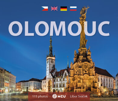 Olomouc / kniha L.Sváček - malý  formát  (9788073393205)