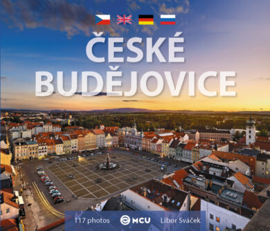 České Budějovice / kniha L.Sváček - malý  formát  (9788073393243)